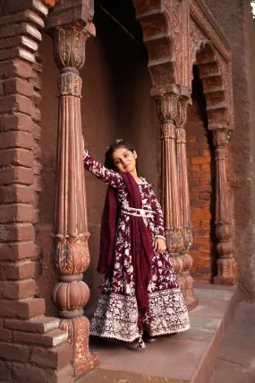 Pre Order: Burgandy Parsi work Anarkali